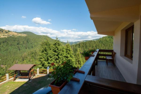 Гостиница Denisa's Lodge  Ариешени